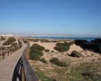 dunes carabassi beach